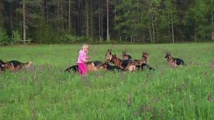 14 hunde omringede en lille pige. Pigen løftede hænderne mod himlen, og der skete noget utroligt. Mere end 14 millioner mennesker så billederne: -