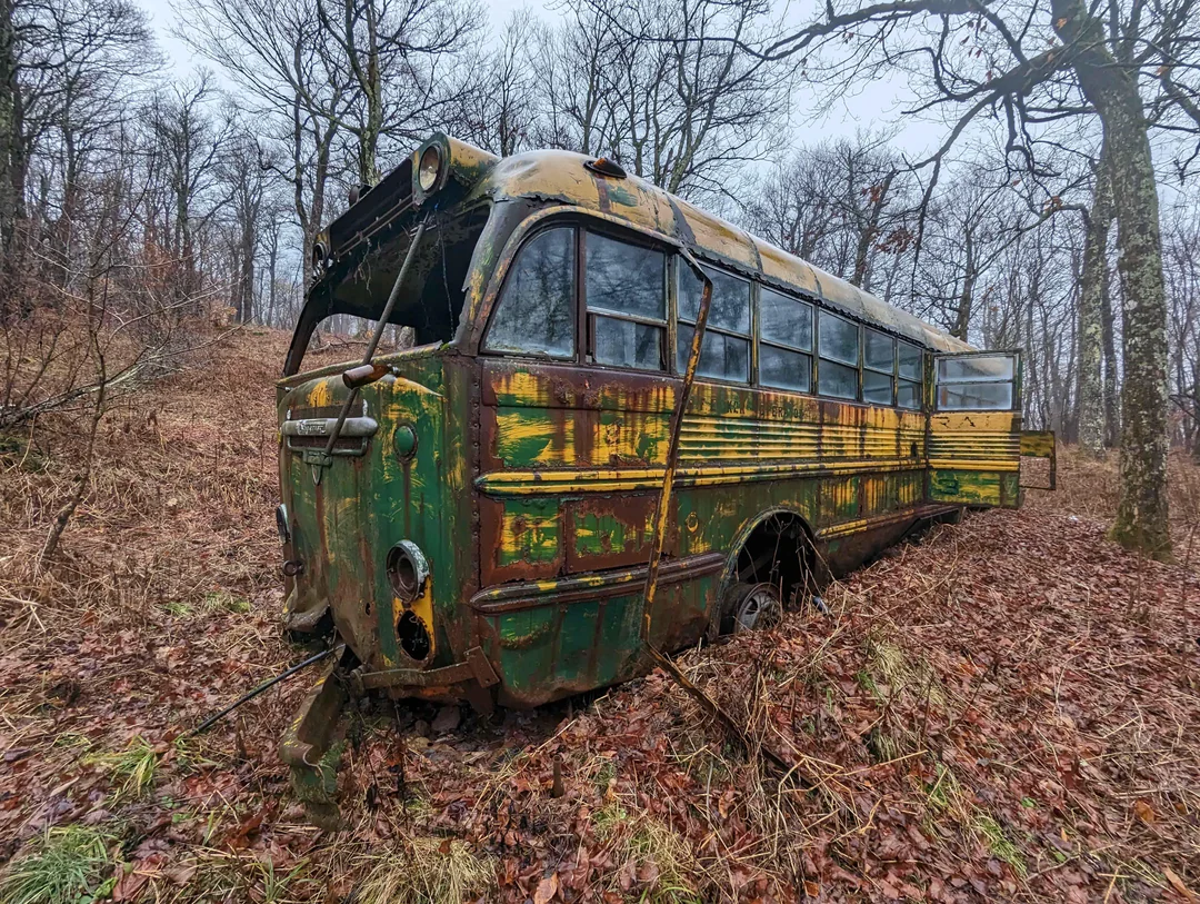 Far og søn fandt en forladt bus, kom ind i de mistede talegaven!
