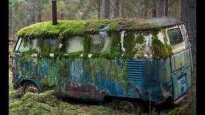 Far og søn fandt en forladt bus, kom ind i de mistede talegaven!