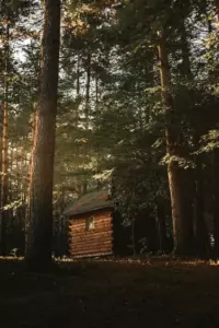 Jeg var ked af, at min bedstefar kun efterlod mig en gammel bigård, indtil jeg så ind i bistaderne