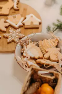 Jeg hyrede en mand til at ønske min søn en glædelig jul som julemanden, og jeg lagde mærke til, at han havde det samme fødselsmærke som min søn