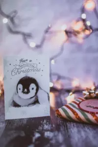 Jeg sendte julepostkort ud i år – kort tid efter modtog jeg en tekst, der sagde: "Hon, det er ikke din mand på billedet!"