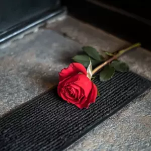 Hver nat i uger fandt jeg en rød rose uden for min dør - indtil den kom med en note, der førte mig til den skræmmende hemmelighed bag den
