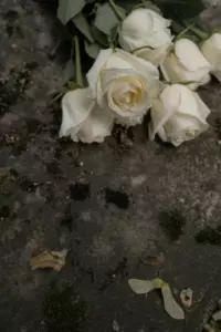 En fremmed efterlod blomster ved min mands grav hver uge - en dag fandt jeg ud af, hvem det var, og jeg blev efterladt målløs