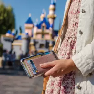 Min tante forsvandt med mit ID og mine penge i Disneyland – jeg fandt på den perfekte hævn på toget hjem