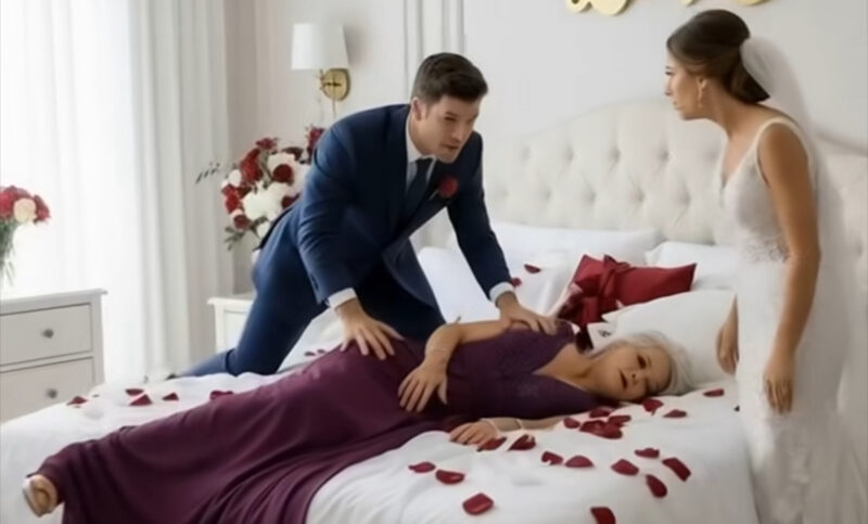 Min familie afbrød min invitation fra den julehytte til 8.000 dollars, jeg havde betalt for ... så jeg aflyste hele turen og så deres "perfekte ferie" smuldre for øjnene af dem.