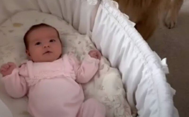 Min lille pige var låst inde på et brændende varmt hotelværelse uden mad eller vand, mens min familie tog de andre børn med på en luksuriøs bådtur……